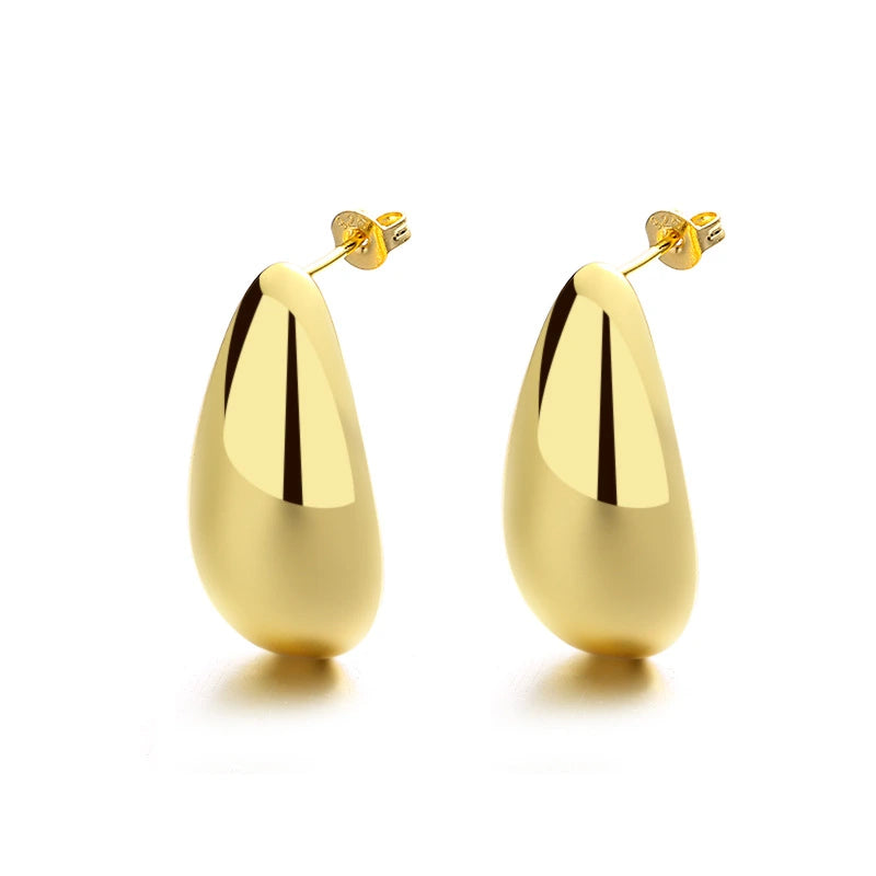Elegant Earrings