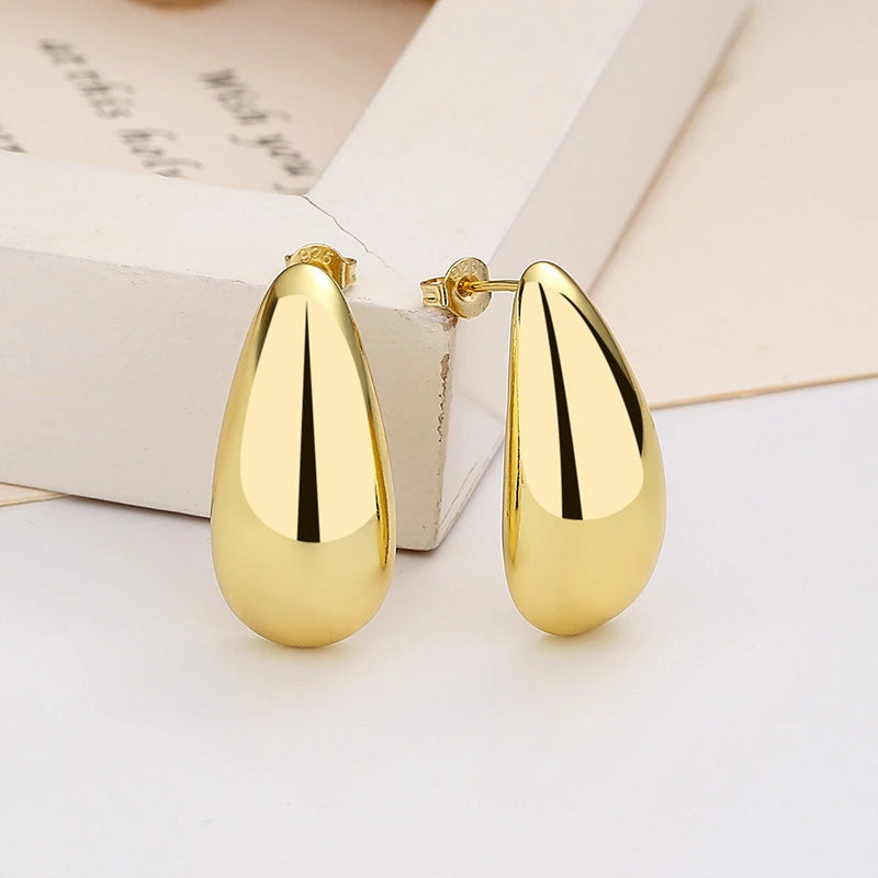 Elegant Earrings