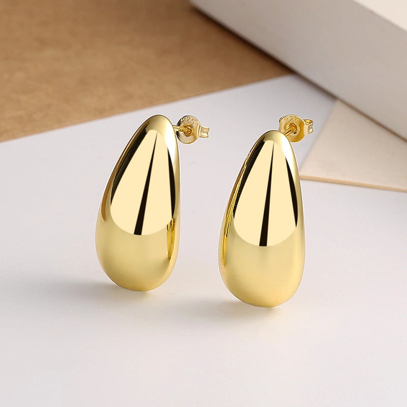 Elegant Earrings